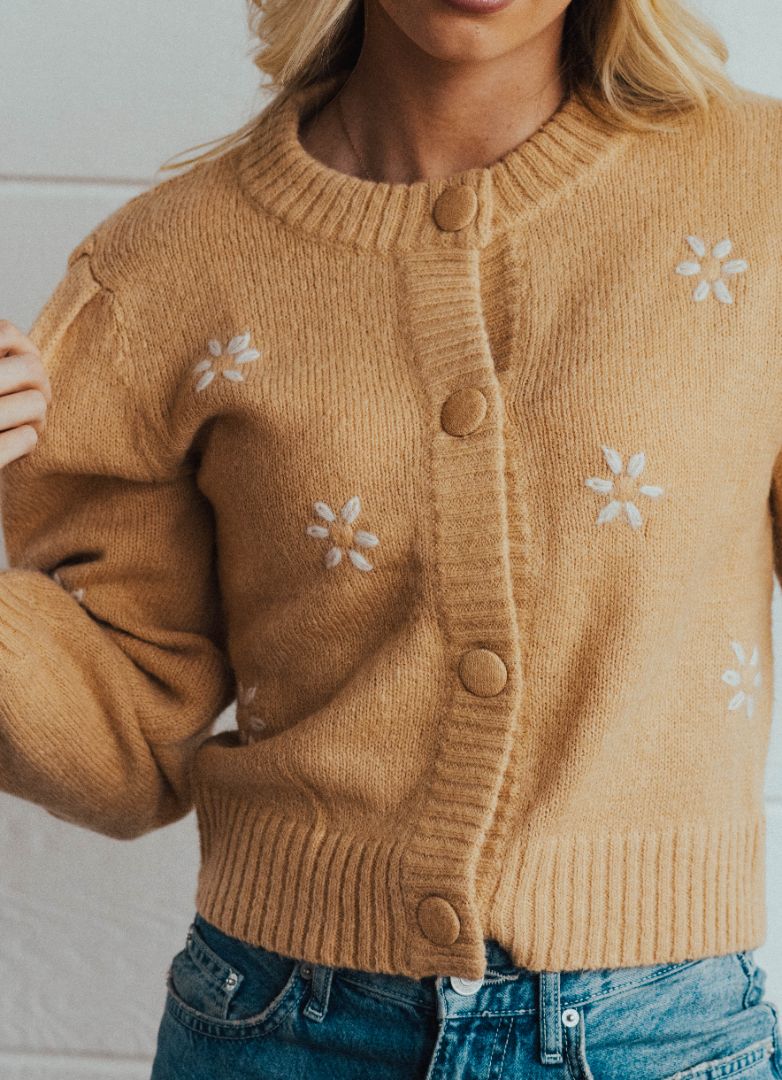 Miss Daisy Button Up